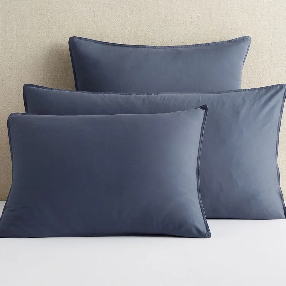 Set of 4 Pottery Barn Dream Brushed Organic Cotton Sateen Shams